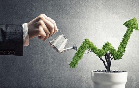 profit-growth-ousz3s04l7cbzcdeyfwdehvcz45qyj5j336a8p5me2